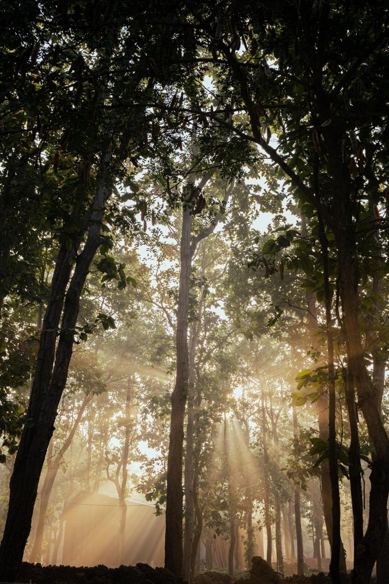 Hotel Sonar Bangla Joypur Forest Exteriör bild